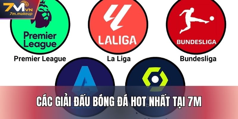Các giải đấu bóng đá hot nhất tại 7M