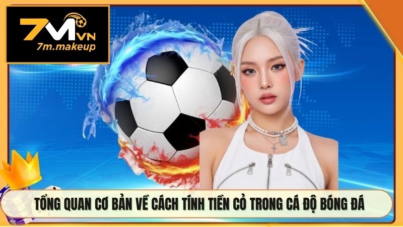 Tổng quan cơ bản về cách tính tiền cỏ trong cá độ bóng đá